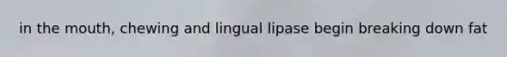 in the mouth, chewing and lingual lipase begin breaking down fat