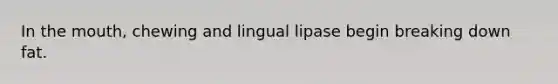 In the mouth, chewing and lingual lipase begin breaking down fat.