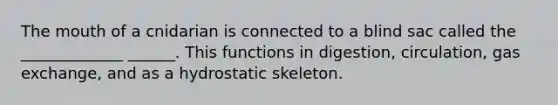 The mouth of a cnidarian is connected to a blind sac called the _____________ ______. This functions in digestion, circulation, gas exchange, and as a hydrostatic skeleton.