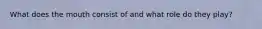 What does the mouth consist of and what role do they play?