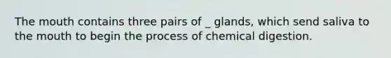 The mouth contains three pairs of _ glands, which send saliva to the mouth to begin the process of chemical digestion.