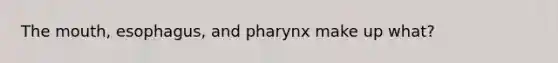 The mouth, esophagus, and pharynx make up what?