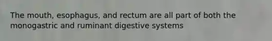 The mouth, esophagus, and rectum are all part of both the monogastric and ruminant digestive systems