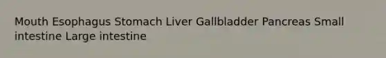 Mouth Esophagus Stomach Liver Gallbladder Pancreas Small intestine Large intestine