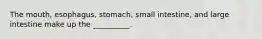 The mouth, esophagus, stomach, small intestine, and large intestine make up the __________.