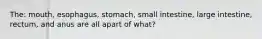 The: mouth, esophagus, stomach, small intestine, large intestine, rectum, and anus are all apart of what?