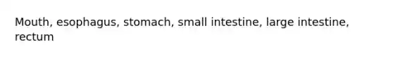 Mouth, esophagus, stomach, small intestine, large intestine, rectum