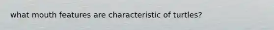 what mouth features are characteristic of turtles?