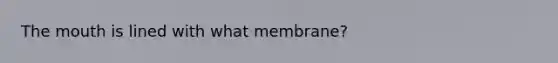 The mouth is lined with what membrane?