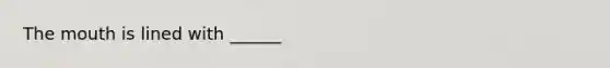 <a href='https://www.questionai.com/knowledge/krBoWYDU6j-the-mouth' class='anchor-knowledge'>the mouth</a> is lined with ______