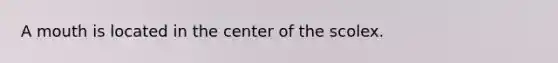 A mouth is located in the center of the scolex.