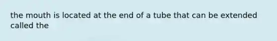 the mouth is located at the end of a tube that can be extended called the