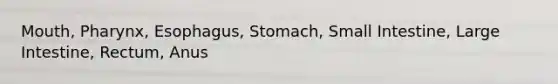 Mouth, Pharynx, Esophagus, Stomach, Small Intestine, Large Intestine, Rectum, Anus