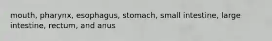 mouth, pharynx, esophagus, stomach, small intestine, large intestine, rectum, and anus