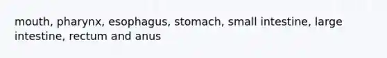 mouth, pharynx, esophagus, stomach, small intestine, large intestine, rectum and anus