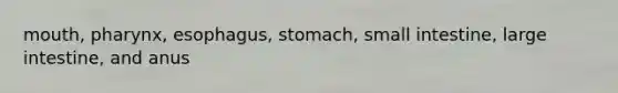 mouth, pharynx, esophagus, stomach, small intestine, large intestine, and anus