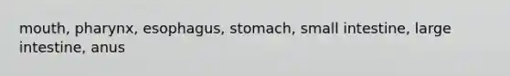 mouth, pharynx, esophagus, stomach, small intestine, large intestine, anus