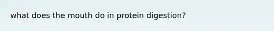 what does the mouth do in protein digestion?