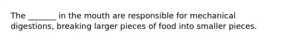 The _______ in the mouth are responsible for mechanical digestions, breaking larger pieces of food into smaller pieces.