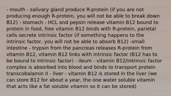 - mouth - salivary gland produce R-protein (if you are not producing enough R-protein, you will not be able to break down B12) - stomach - HCL and pepsin release vitamin B12 bound to protein in food, free vitamin B12 binds with R-protein, parietal cells secrete intrinsic factor (if something happens to the intrinsic factor, you will not be able to absorb B12) -small intestine - trypsin from the pancreas releases R-protein from vitamin B12, vitamin B12 links with intrinsic factor (B12 has to be bound to intrinsic factor) - ileum - vitamin B12/intrinsic factor complex is absorbed into blood and binds to transport protein transcobalamin II - liver - vitamin B12 is stored in the liver (we can store B12 for about a year, the one water soluble vitamin that acts like a fat soluble vitamin so it can be stored)