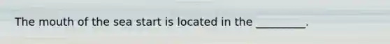 The mouth of the sea start is located in the _________.