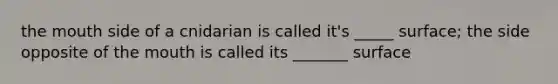 the mouth side of a cnidarian is called it's _____ surface; the side opposite of the mouth is called its _______ surface