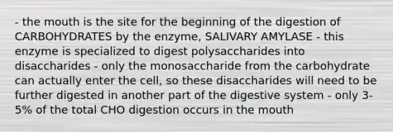 - the mouth is the site for the beginning of the digestion of CARBOHYDRATES by the enzyme, SALIVARY AMYLASE - this enzyme is specialized to digest polysaccharides into disaccharides - only the monosaccharide from the carbohydrate can actually enter the cell, so these disaccharides will need to be further digested in another part of the digestive system - only 3-5% of the total CHO digestion occurs in the mouth