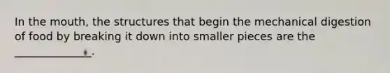 In <a href='https://www.questionai.com/knowledge/krBoWYDU6j-the-mouth' class='anchor-knowledge'>the mouth</a>, the structures that begin the mechanical digestion of food by breaking it down into smaller pieces are the ______________.