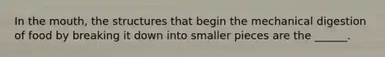 In <a href='https://www.questionai.com/knowledge/krBoWYDU6j-the-mouth' class='anchor-knowledge'>the mouth</a>, the structures that begin the mechanical digestion of food by breaking it down into smaller pieces are the ______.