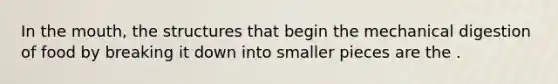 In <a href='https://www.questionai.com/knowledge/krBoWYDU6j-the-mouth' class='anchor-knowledge'>the mouth</a>, the structures that begin the mechanical digestion of food by breaking it down into smaller pieces are the .