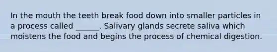 In the mouth the teeth break food down into smaller particles in a process called ______. Salivary glands secrete saliva which moistens the food and begins the process of chemical digestion.