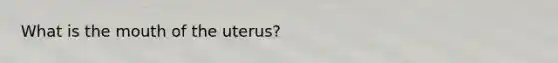 What is the mouth of the uterus?