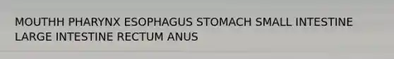 MOUTHH PHARYNX ESOPHAGUS STOMACH SMALL INTESTINE LARGE INTESTINE RECTUM ANUS