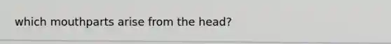 which mouthparts arise from the head?