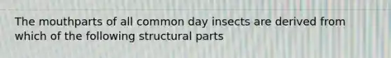 The mouthparts of all common day insects are derived from which of the following structural parts