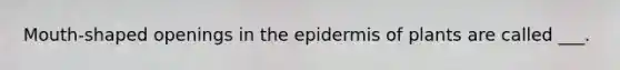 Mouth-shaped openings in the epidermis of plants are called ___.