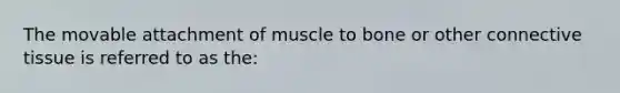 The movable attachment of muscle to bone or other connective tissue is referred to as the: