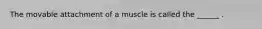 The movable attachment of a muscle is called the ______ .