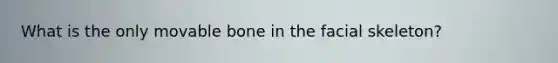 What is the only movable bone in the facial skeleton?