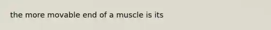 the more movable end of a muscle is its