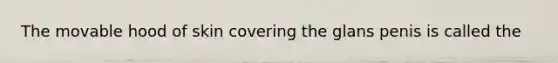 The movable hood of skin covering the glans penis is called the