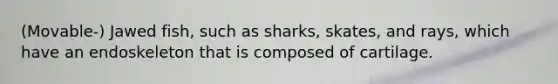 (Movable-) Jawed fish, such as sharks, skates, and rays, which have an endoskeleton that is composed of cartilage.