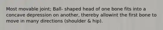 Most movable joint; Ball- shaped head of one bone fits into a concave depression on another, thereby allowint the first bone to move in many directions (shoulder & hip).