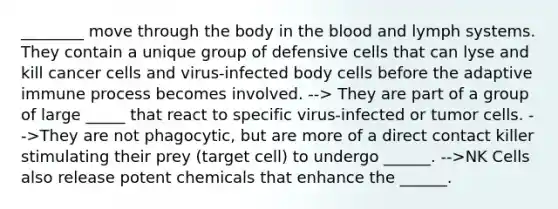 ________ move through the body in the blood and lymph systems. They contain a unique group of defensive cells that can lyse and kill cancer cells and virus-infected body cells before the adaptive immune process becomes involved. --> They are part of a group of large _____ that react to specific virus-infected or tumor cells. -->They are not phagocytic, but are more of a direct contact killer stimulating their prey (target cell) to undergo ______. -->NK Cells also release potent chemicals that enhance the ______.