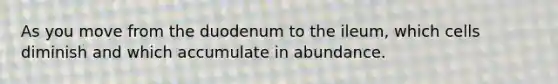 As you move from the duodenum to the ileum, which cells diminish and which accumulate in abundance.