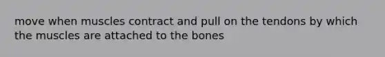 move when muscles contract and pull on the tendons by which the muscles are attached to the bones