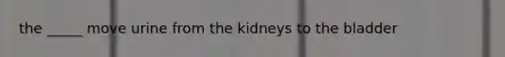 the _____ move urine from the kidneys to the bladder