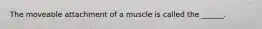 The moveable attachment of a muscle is called the ______.