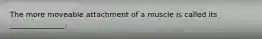 The more moveable attachment of a muscle is called its _______________.