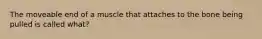 The moveable end of a muscle that attaches to the bone being pulled is called what?